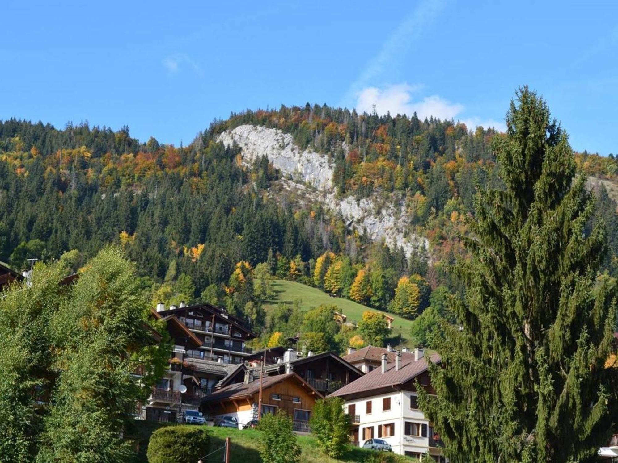 Studio Cosy 4 Pers, Centre Village, Parking, Ascenseur, Balcon - Le Grand-Bornand - Fr-1-241-185 Eksteriør bilde